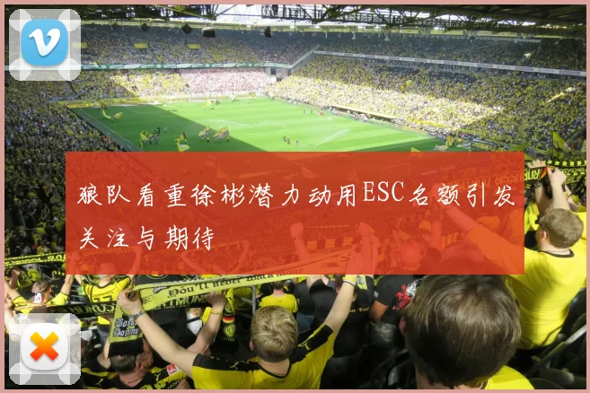 狼队看重徐彬潜力动用ESC名额引发关注与期待